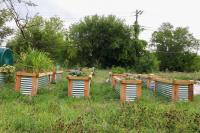 Detroit Evening Report: Michigan State Fair brings urban gardeners and rural farmers together