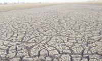 Namibia urges action as drought threatens economic development