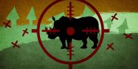 Trophy hunting quotas: Civil society objected, but did anyone in government listen?