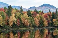The Climate Factors That Could Make This Year’s Fall Leaves Less Spectacular