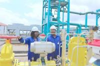 Cameroon’s Logbaba Gas Operator Changes Hands After VOG Sells Parent Company