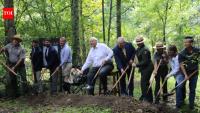 In 1906, five railroad bridges carried coal through West Virginia’s New River Gorge; 120 years later an $11.8 million project is rebuilding them for hikers