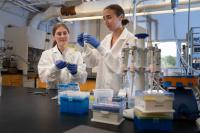 UW-Eau Claire research uncovering new information about cranberry production