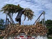 El Nino: A phenomenon supercharged by climate change
