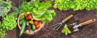 UF/IFAS Extension offering gardening workshop, Master Naturalist Program