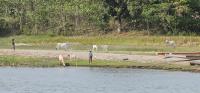 DA urges Mindanao farmers to brace for drought 