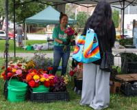 Walker Square Farmers Market amps up family-friendly activities