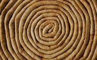 Concentric constitutionalism: environmental law in PNG