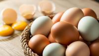 Consumer finds worm inside egg, officials inspect quick-commerce facility in Mangaluru