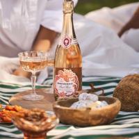 Boschendal named South Africa's best wine tourism experience in Tim Atkin South Africa Special Report 2026