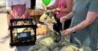 Food insecurity 'deepening' across region, North Carolina, report says