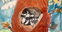 DNR wildlife poster contest open