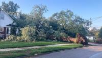 Following severe weather, city of Erie issues state of emergency