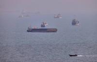 Oman rejects deal with Iran on joint fee collection for Hormuz passage — media