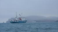 Norway detains Russian research vessel Professor Molchanov in Svalbard