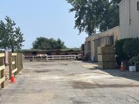 Bergen Beach — Jamaica Bay Riding Academy Closes After 54 Years