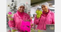 Portuguese grape harvest targets higher output from smaller area