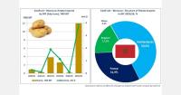 Morocco’s potato imports reach record 12,000 tons in 2026