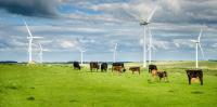 Australia needs renewable energy fast – but building it is only half the battle