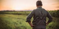 Arkansas Agriculture Hall of Fame open for nominations