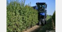 Specialized almond farming in northern Italy could boost the country's autonomy