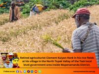 Small-scale rice farming in Wapenamanda District