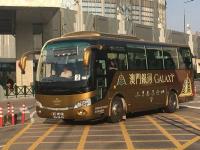 Tourism and ‘Leisure’ buses carry nearly 37,000 passengers as gov’t studies regular service