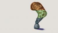 Does the Geologic Column Actually Exist?