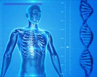 Scientists Map Genetics of Personality across Million People