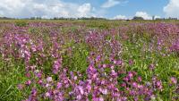 Editor's View: Stage set for pivotal September for farming