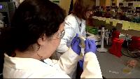 'It was very surreal': UNC Asheville researchers make discovery in drug-resistant staph What began as an undergraduate research project at UNC Asheville has resulted in a discovery that has landed the team a recognition in an accredited journal.