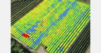AI camera system tracks fruit and predicts orchard yields