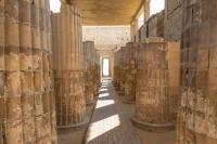 Memphis Temple Unexcavated Since 1962 Reopens: Grape Seeds Confirm Ancient Wine Production