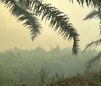 Sarawak only state with unhealthy air readings, Serian worst at 189