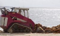 Transforming Coastal Waste Into Environmental Treasure