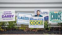 See early voters share their top concerns in Delaware primary election