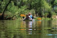 Travel Bag: Cottonwood, Nashville and Las Cruces