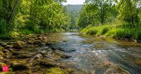In 2006, Kentucky identified nutrient problems along 12.8 miles of Fleming Creek. 18 years later, monitoring showed the stream could fully support its aquatic life