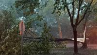 Detroit east side storm damage under review for possible tornado