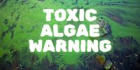 Trio of northern North Dakota locations added to harmful algae advisories, warnings