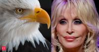 For 35 years, Dolly Parton’s Tennessee theme park was home to bald eagles. Now they’re moving
