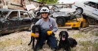 Texas A&M Task Force 1 canines are always ready to serve