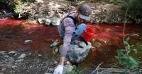 Why did a government agency turn a Utah creek red?