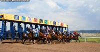 Wyoming Downs/307 Horse Racing wraps up "record-breaking" live racing season