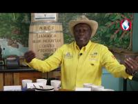 How Dis Mek? From bean to brew – Jamaican Blue Mountain coffee