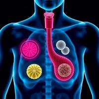 Targeted nutrition during oesophageal cancer treatment preserves muscle and aids recovery