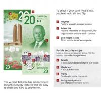 Let’s Go Vertical, Says the Bank of Canada.