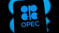 Armenia to Receive €80 Million Loan from OPEC Fund