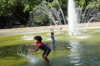 Belgium records 3,000 deaths due to summer heatwaves
