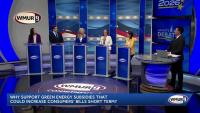 2026 NH Democratic CD1 Debate: Green energy subsidies